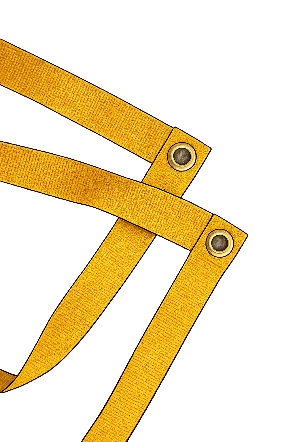 Carré obéissance 3m x 3m