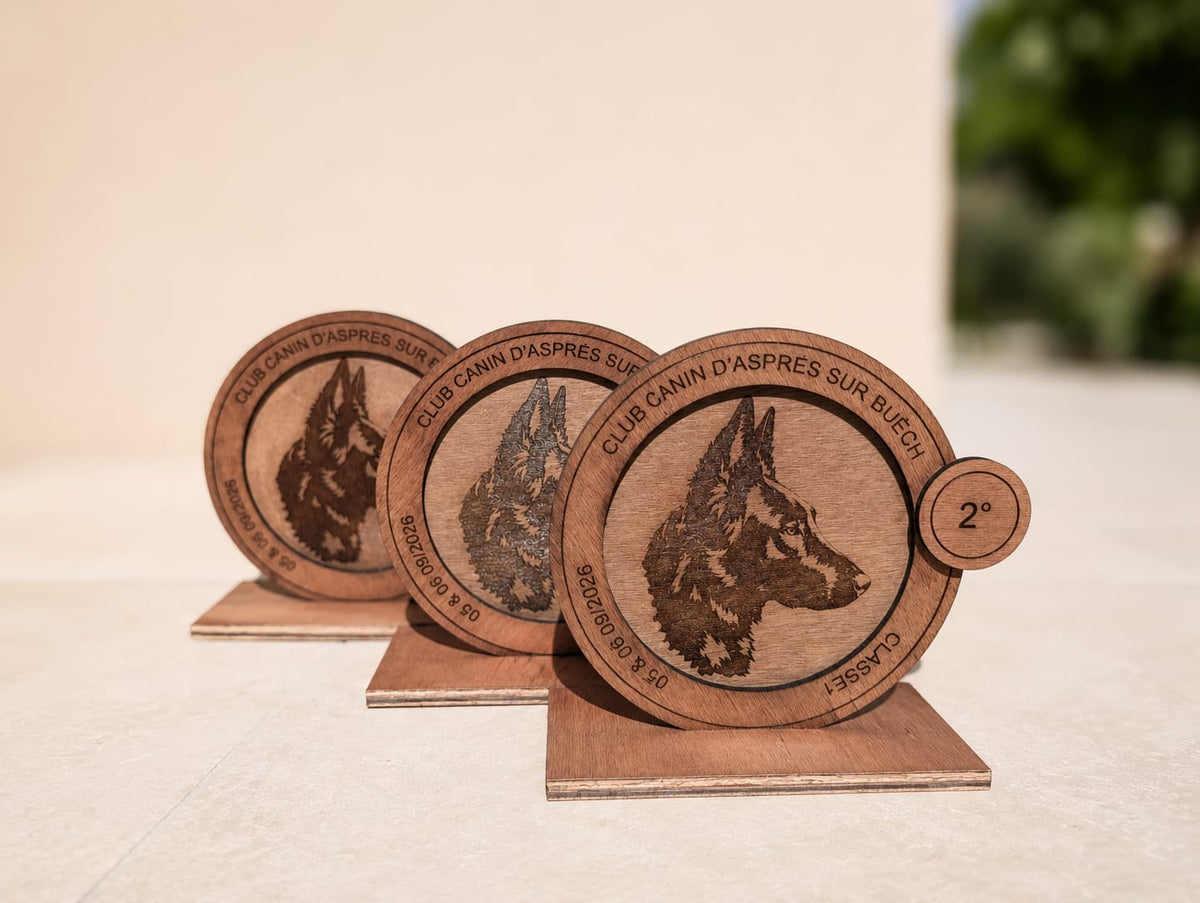 Trophée multi-couches personnalisé